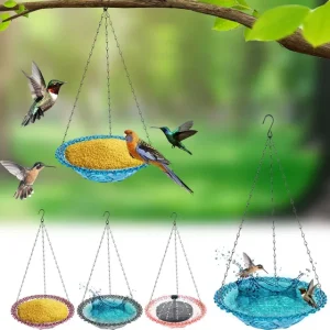 Home image 69afa98f23ce46c92ea178c3.webp