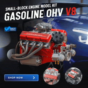 product img 6a20fda991ef3d0d28f6f9ad.gif